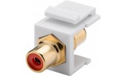 Keystone RCA Modul